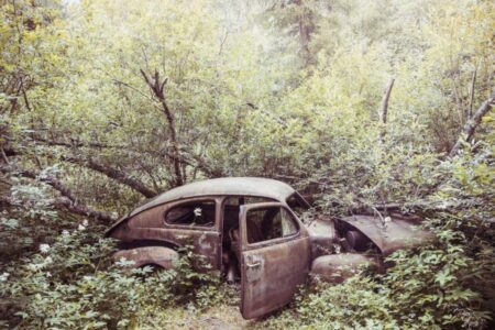 Seasonal and Area-Specific Junk Removal Insights