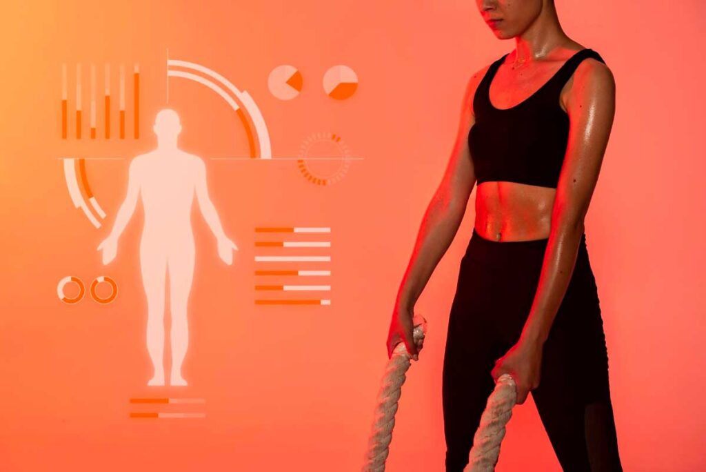 A Comprehensive Guide to Metabolism, Muscle, and Fat in Your Body