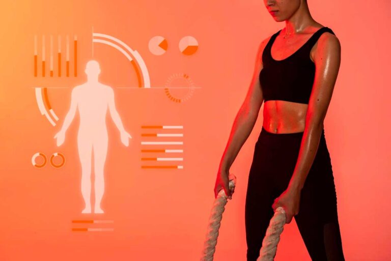 A Comprehensive Guide to Metabolism, Muscle, and Fat in Your Body