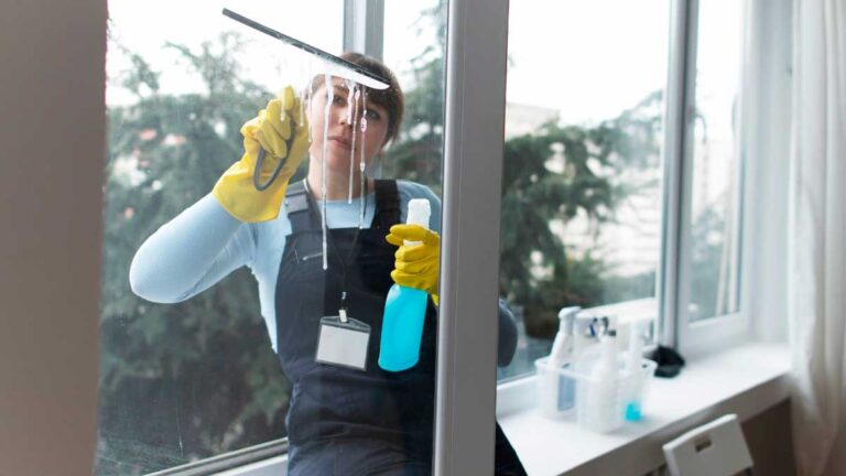 Enhancing Your Home's Appeal with Expert Window Cleaning