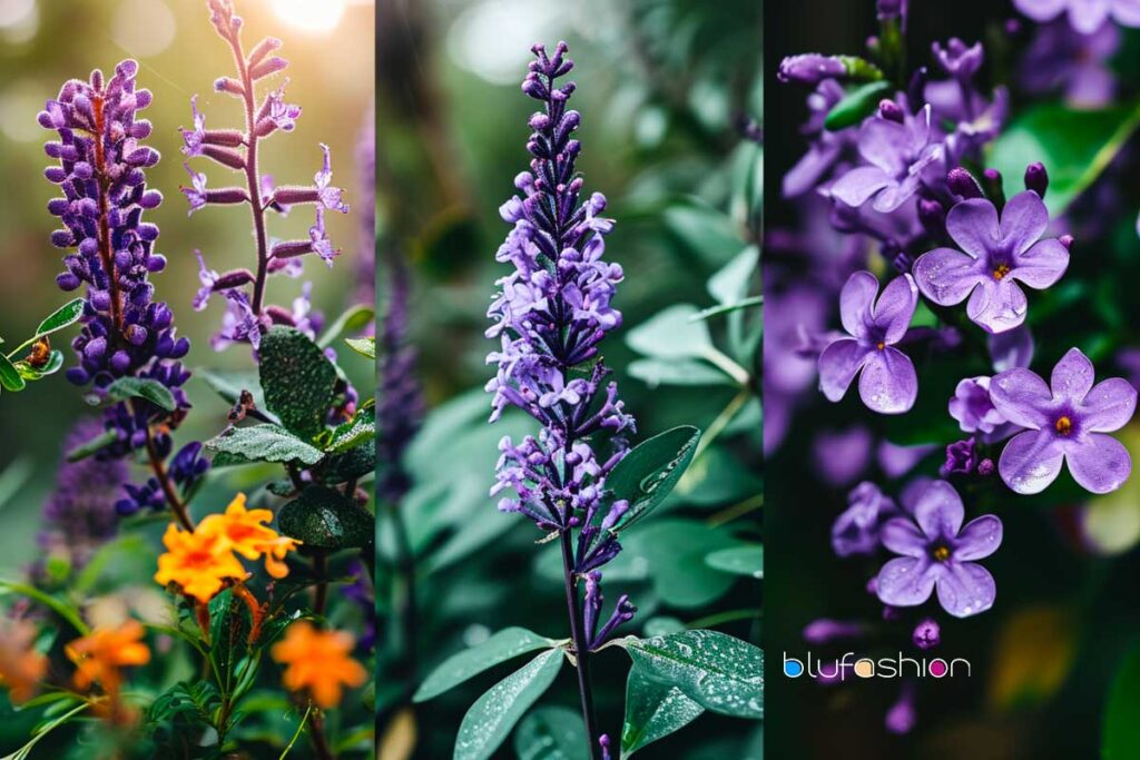 Assortment of purple Florida flowers, including dewy lavender, sage, and lilac blooms, against a lush background.