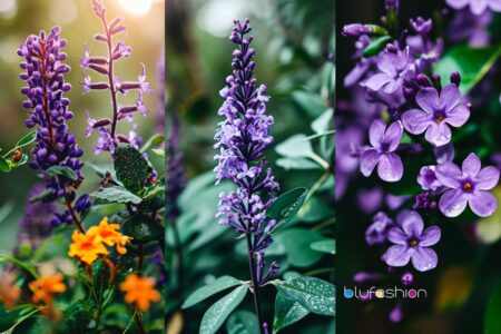 Assortment of purple Florida flowers, including dewy lavender, sage, and lilac blooms, against a lush background.