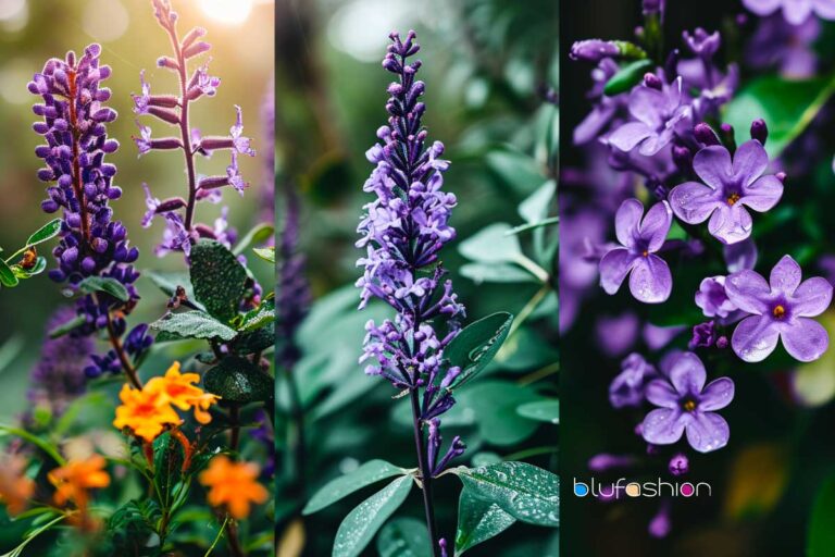 Assortment of purple Florida flowers, including dewy lavender, sage, and lilac blooms, against a lush background.