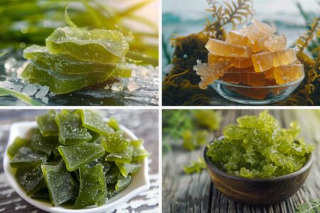 Sea Moss Gummies: A Health Trend Worth Following