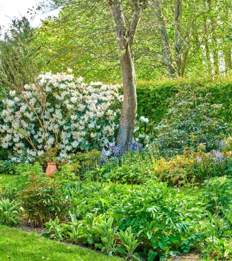 A well-manicured, vibrant, and green landscaped residential backyard with various flowers, bushes, and shrubs.