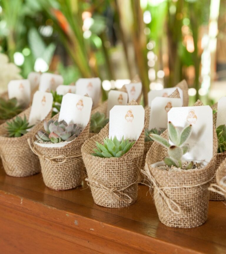A collection of succulents lined up in rows and wrapped neatly in burlap and twine as wedding favors.