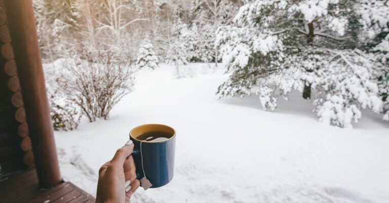 A shaded porch overlooking a yard covered in snow. The hand of a person holding a cup of tea is visible under the awning.