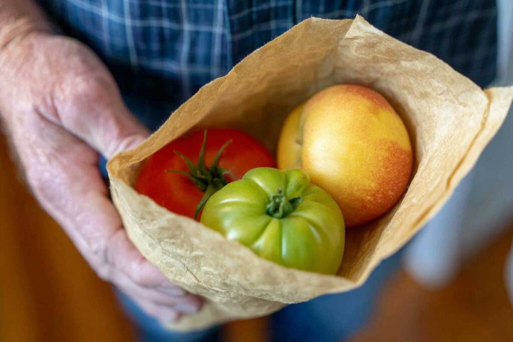 open kraft paper bag cradling one green heirloom tomato and one red-gold apple