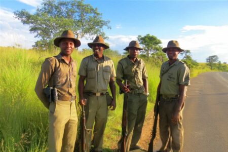 a group of four African park rangers standing on a paved road in a lush green savanna landscape
