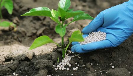 How to Choose the Best Organic Fertilisers for Thriving Plants
