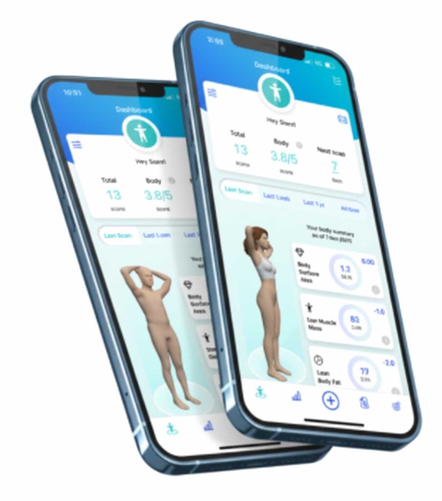 Human Proportions Calculator