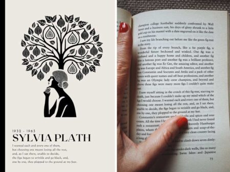 Meaning of sylvia plath the fig tree in The Bell Jar